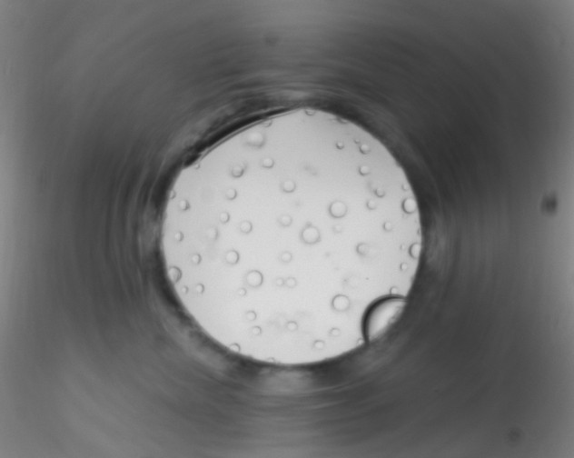 X0000115220476200911251535