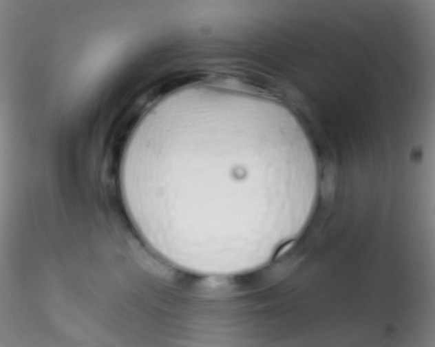 X0000115220477200911251535