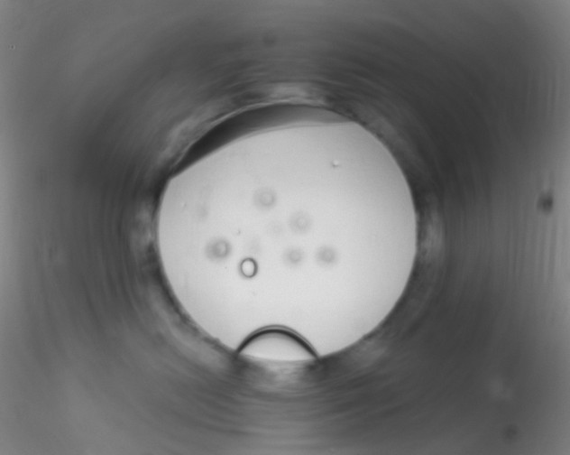 X0000115220478200911251535