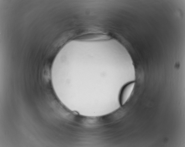 X0000115220479200911251535