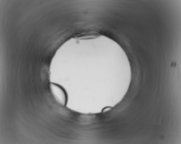 X0000115220480200911251535