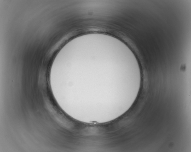 X0000115220482200911251534