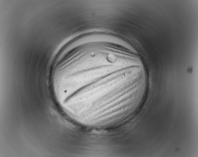 X0000115220484200911251534