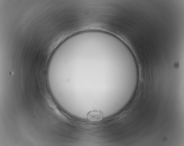 X0000115220485200911251534