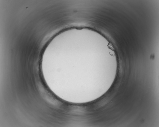 X0000115220486200911251534