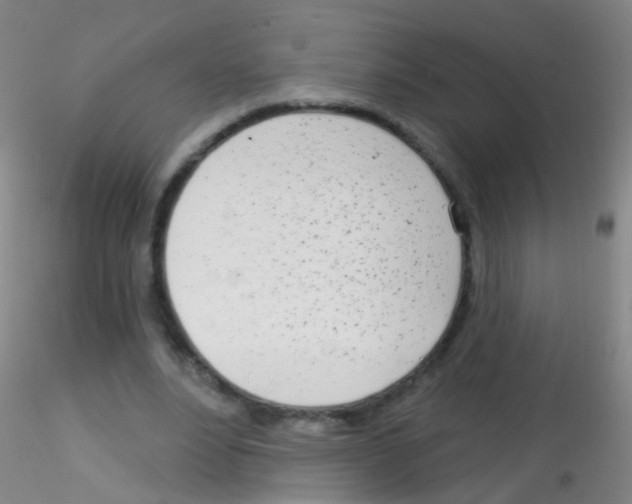 X0000115220488200911251534