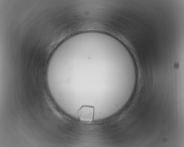 X0000115220489200911251534