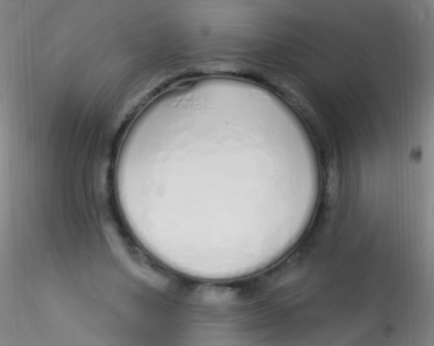 X0000115220491200911251534