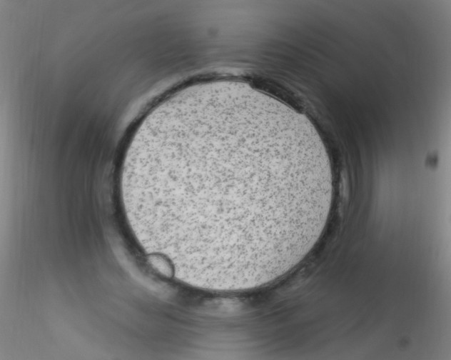X0000115220492200911251534