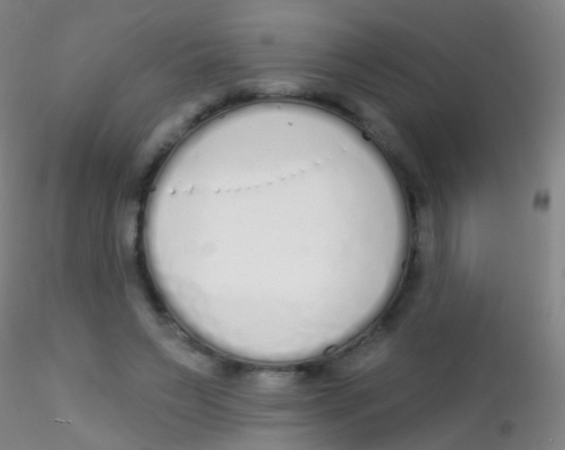 X0000115220495200911251534