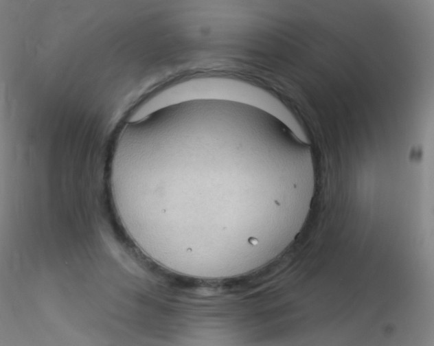 X0000115220496200911251534