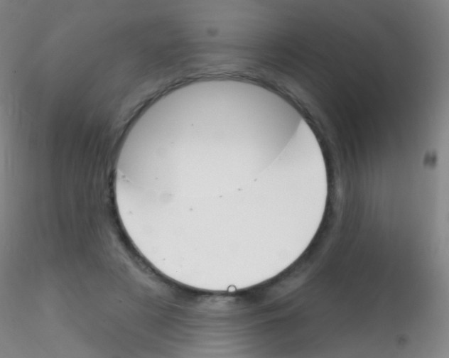 X0000115220497200911251534