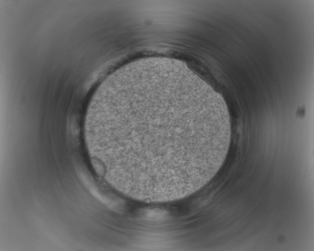 X0000115220500200911251534