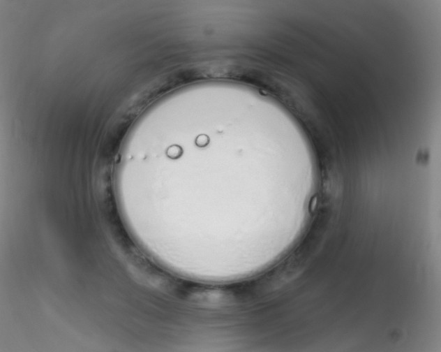 X0000115220503200911251534