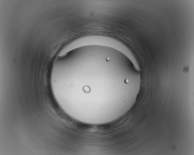 X0000115220504200911251534