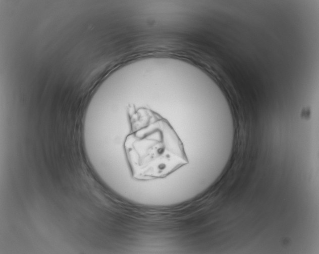 X0000115220505200911251534