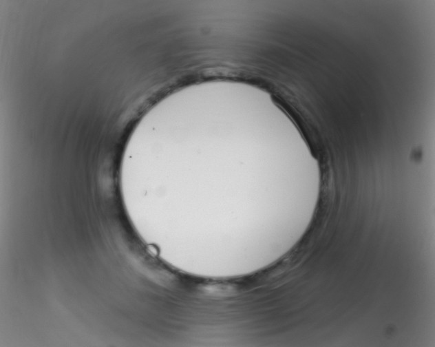 X0000115220508200911251534