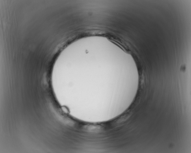 X0000115220512200911251534