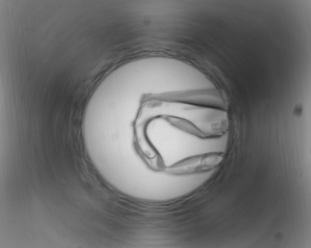 X0000115220513200911251534