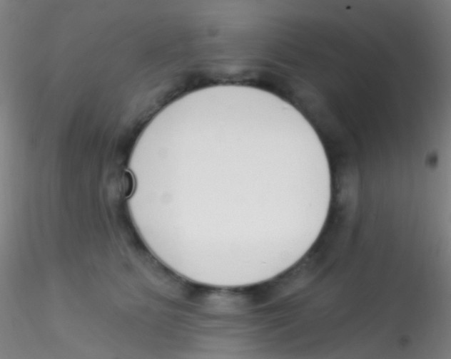 X0000115220515200911251534