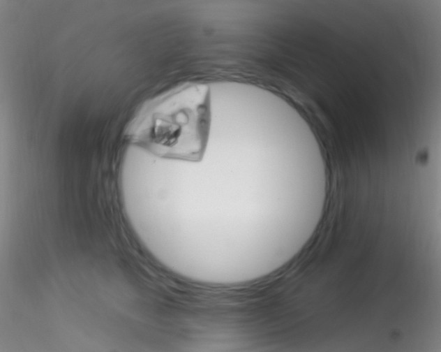 X0000115220517200911251534