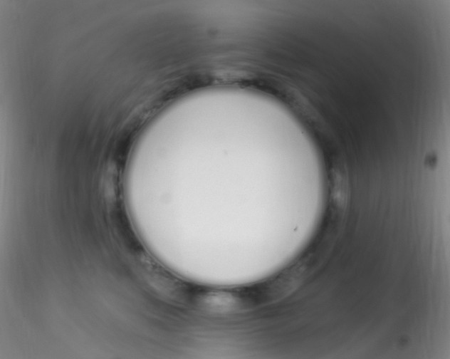 X0000115220519200911251534