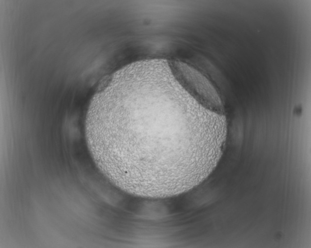 X0000115220520200911251534