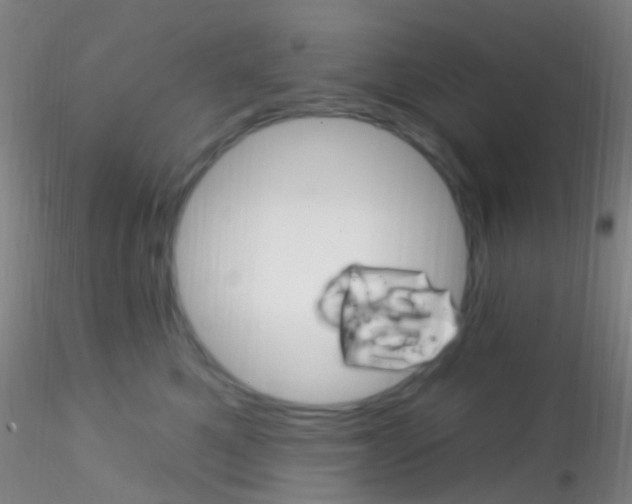 X0000115220521200911251534
