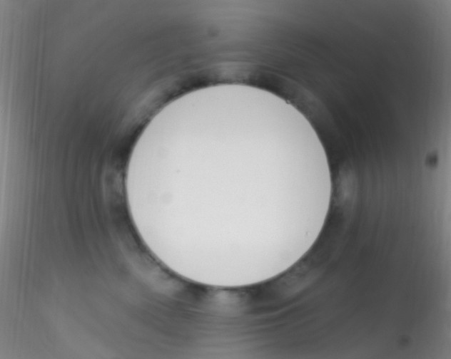 X0000115220522200911251534