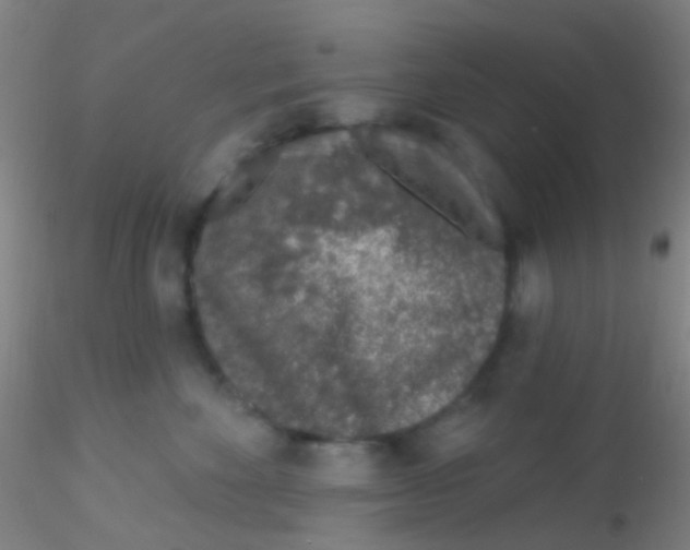 X0000115220524200911251534