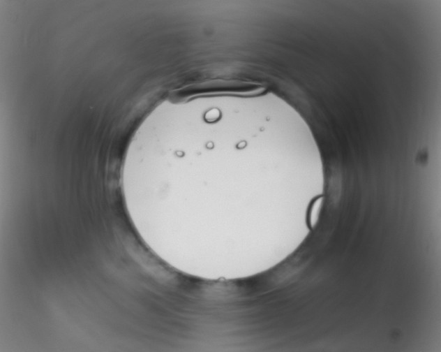 X0000115220525200911251534