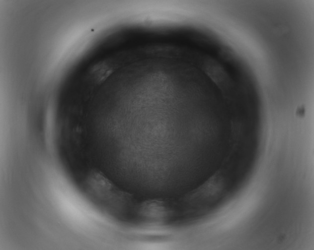 X0000115220526200911251534