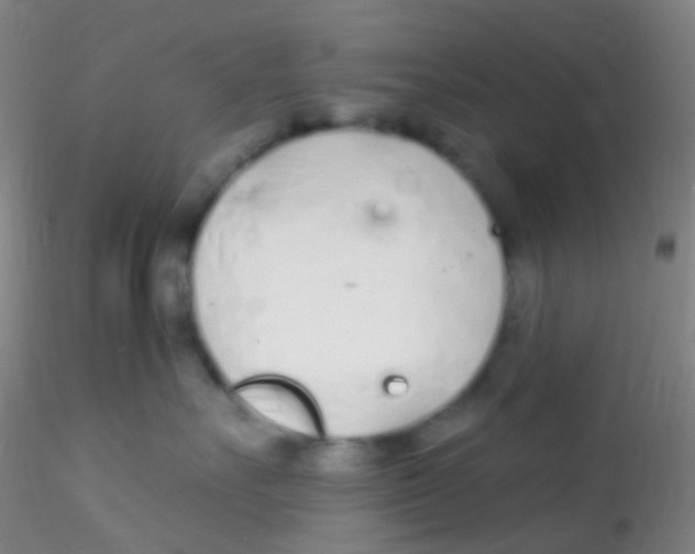 X0000115220527200911251534