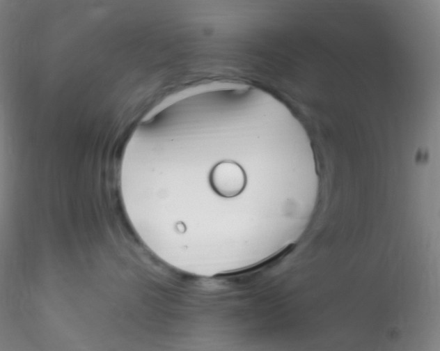 X0000115220528200911251533