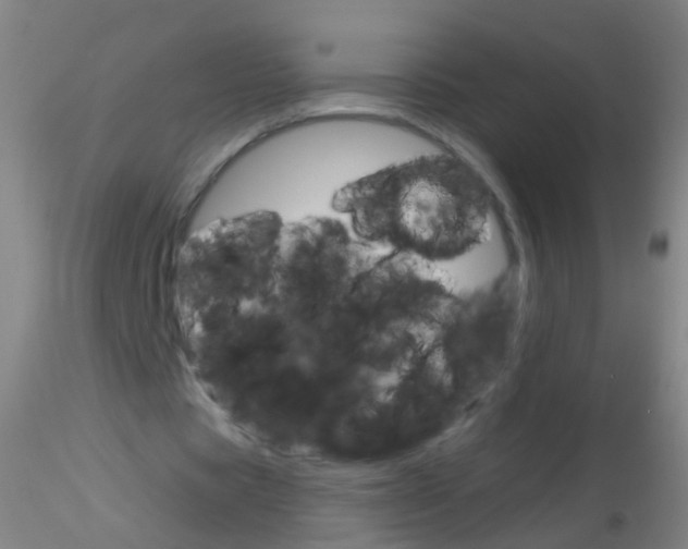 X0000115220529200911251533