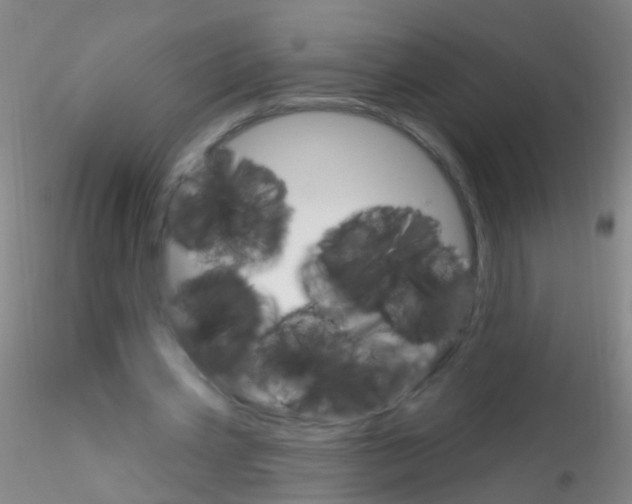 X0000115220533200911251533