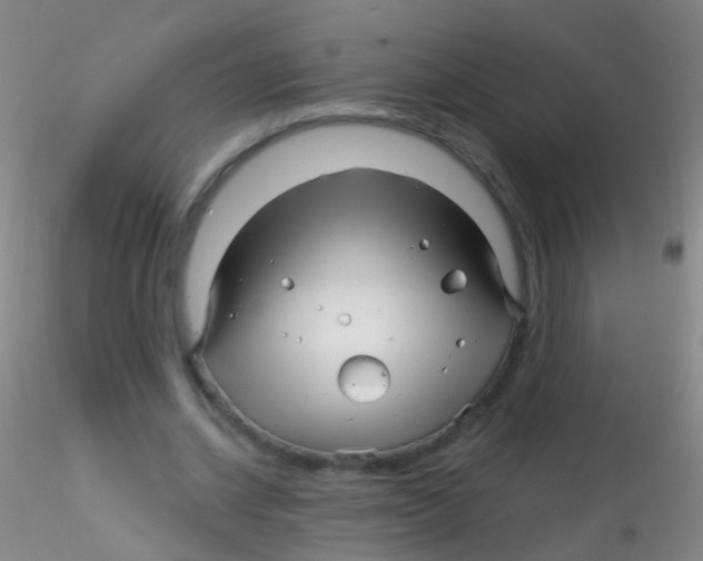 X0000115220534200911251533