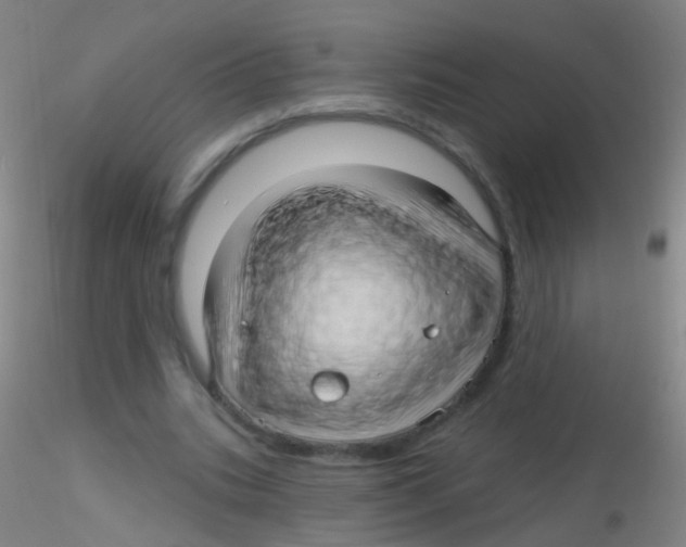 X0000115220535200911251533