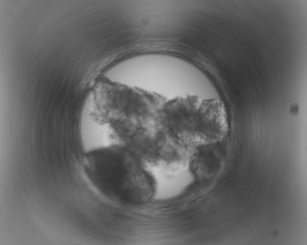 X0000115220537200911251533