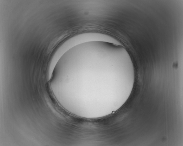 X0000115220538200911251533