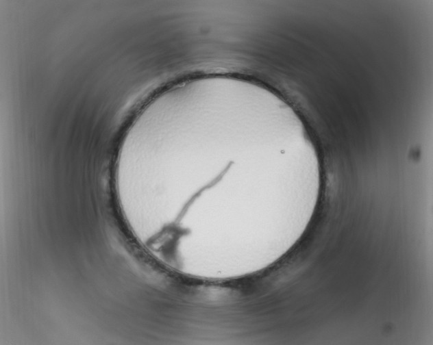 X0000115220539200911251533