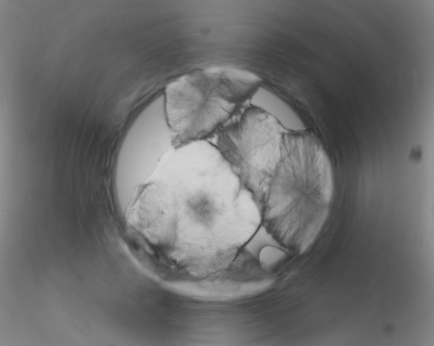X0000115220545200911251533