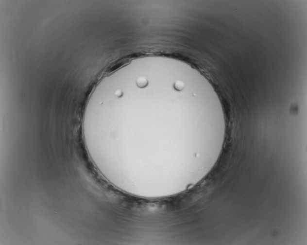 X0000115220546200911251533