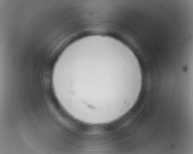 X0000115220549200911251533