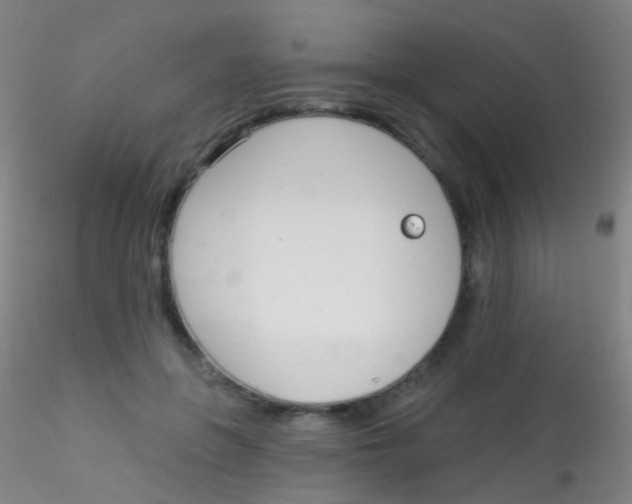 X0000115220551200911251533