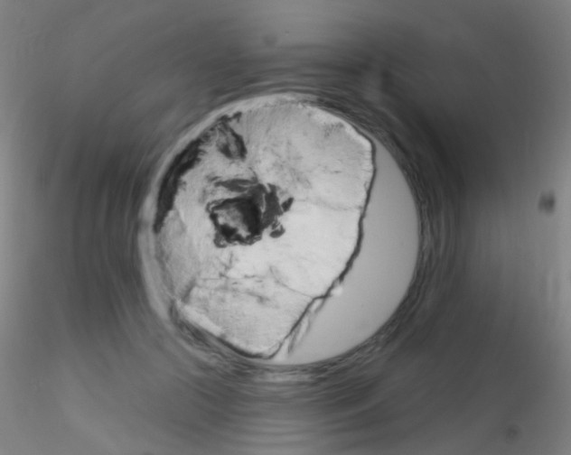 X0000115220553200911251533