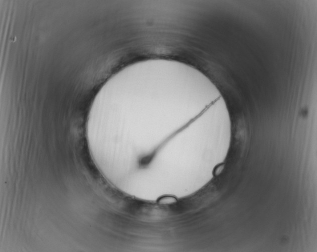 X0000115220559200911251533