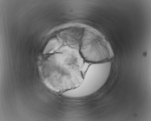 X0000115220561200911251533