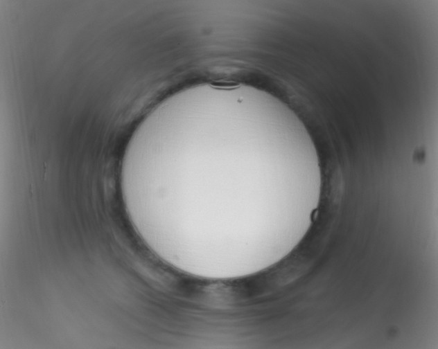 X0000115220562200911251533