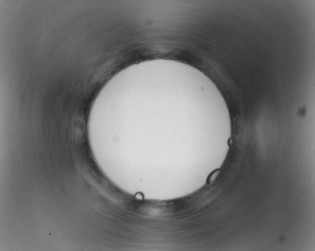 X0000115220563200911251533